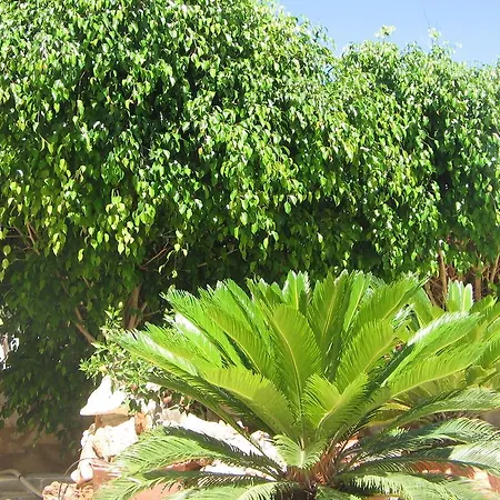 Aiolos * Naousa