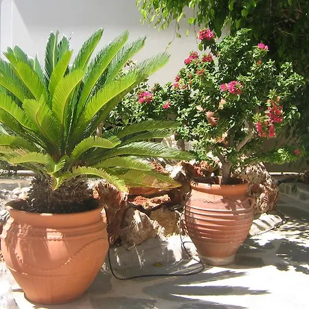 Lejlighedshotel Aiolos